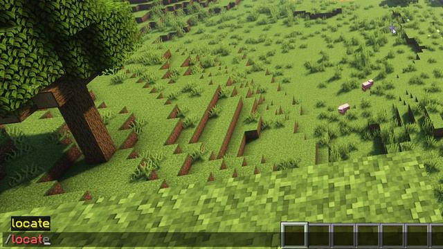 How To Find ANY Biome & Structure In Minecraft (Extremely Easy) смотреть онлайн