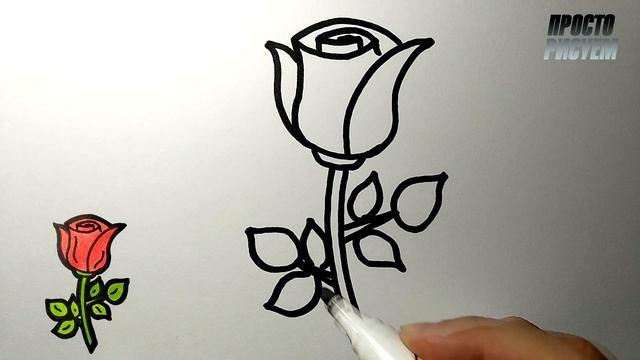 Как нарисовать РОЗУ, Просто рисуем смотреть онлайн
