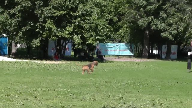 "Давид и Голиаф". смотреть онлайн