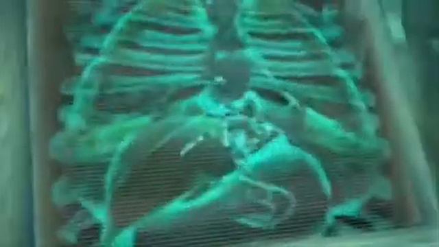 Ada's Report 1 - Resident Evil 4 (Biohazard 4) смотреть онлайн