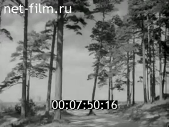 Послевоенная Латвия (1946-1950)