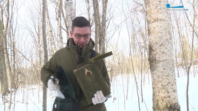 Птицам — комфортное жильё! Волонтёры изготовили 36 искусственных гнездовий для пернатых смотреть онлайн