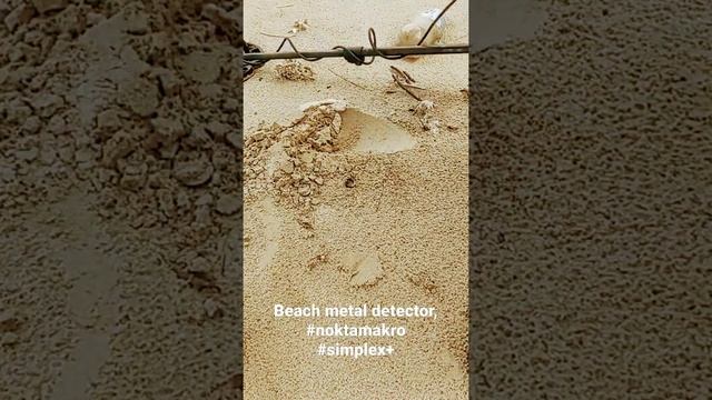 beach metal detecting with nokta makro simplex + смотреть онлайн