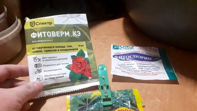 Первая подкормка и обработка рассады от болезней и вредителей.Diseases And Pests