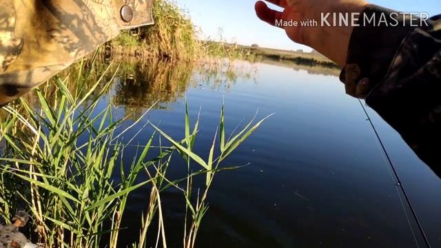 Мормышинг с neoline exul 572 0.1-2гр.Ловля красноперки на мормышку.Спиннинг neoline 0.1-2. смотреть онлайн