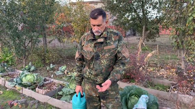 МІЙ ДОГЛЯД ЗА ЛОХИНОЮ ПІЗНЬОЇ ОСЕНІ | Жовтень - Листопад смотреть онлайн