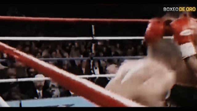 Dijo que los MEXICANOS le DABAN ASCO y así lo HUMILLO uno... - Morales vs Velardez смотреть онлайн