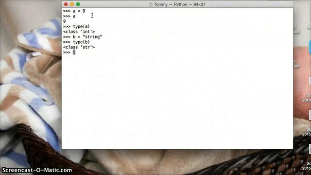 Python: Type() - Python Glossary смотреть онлайн