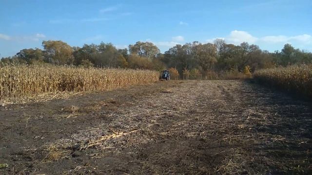 Свожу початки. скашиваю стебли . смотреть онлайн
