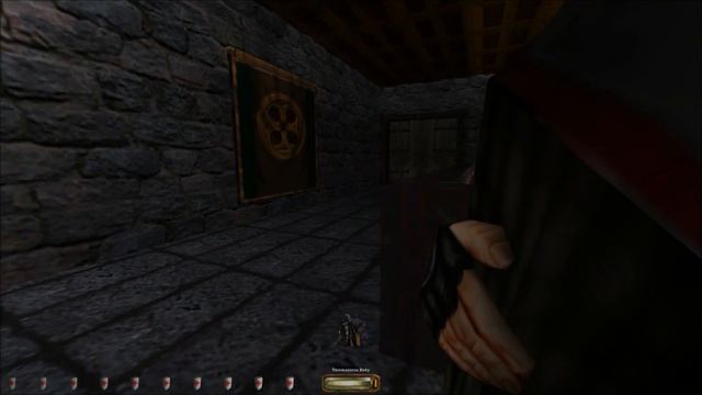 (THE WANDERING THIEF) Thief Gold Blind + Expert Difficulty #12 смотреть онлайн