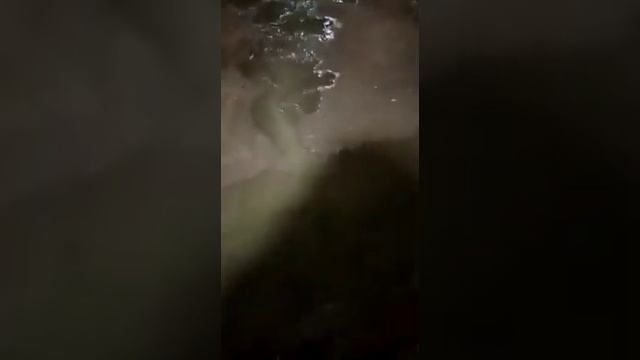 В Благовещенском подвале из-за сырости завелись насекомые смотреть онлайн