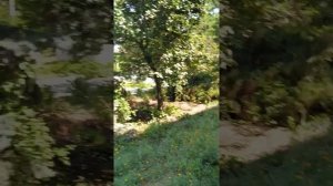 Урзуф. Пансионат Радуга. 20.07.2019