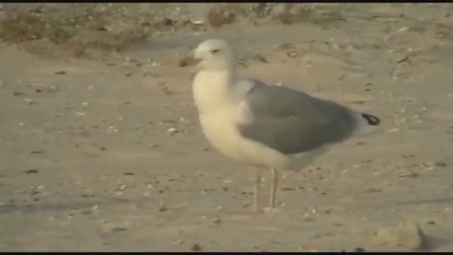 Это Место Свободно Сейчас и ждет Вас
