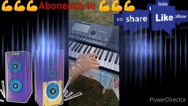 Sârba la orga korg pa 600 смотреть онлайн