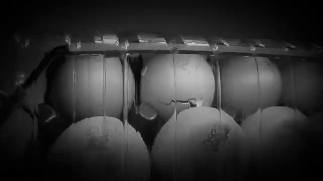 Как сделать инкубатор из бутылки сам дома смотреть онлайн