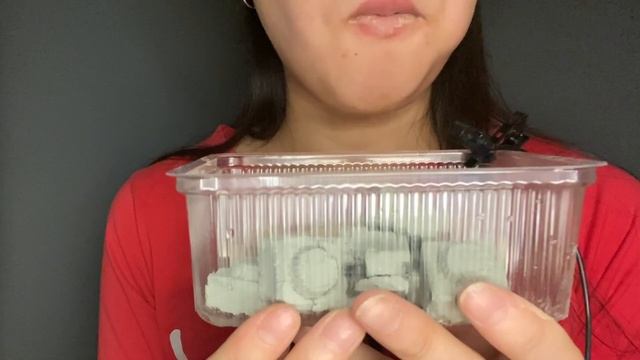 ASMR: Глина | Кембрийская, Подсолнух, Подсолнух Красный | Crunch Clay / Cambrian, Sunflower