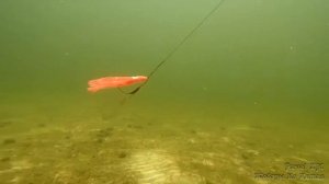 Крючок офсетный с грузом и лепестком?