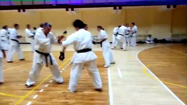 Экзамен на черный пояс 4 дан, бой с чемпионом Японии Naoto Kusakabe | Каратэ | Exam 4 Dan Kyokushin смотреть онлайн