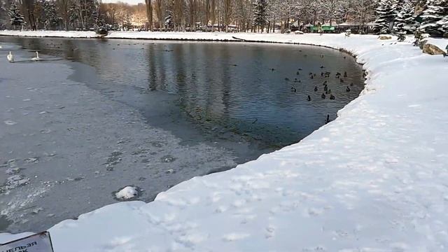 Зимняя сказка в Крыму. Гагаринский парк Симферополя смотреть онлайн