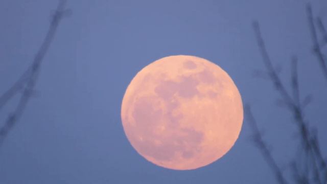 Полная Луна. Восход перед полным затмением 31.01.2018 смотреть онлайн