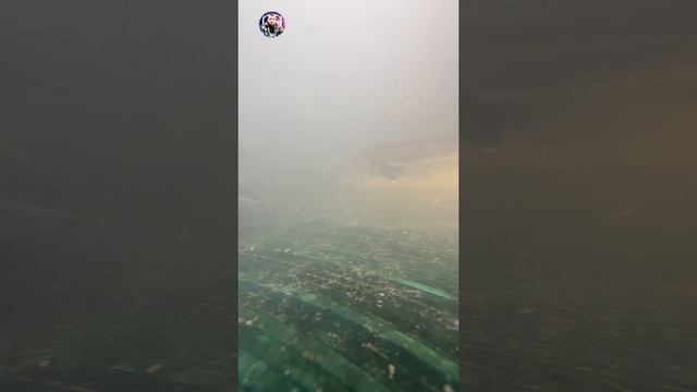 Подводная сёмка смотреть онлайн