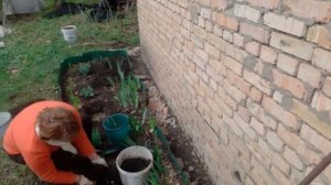 Как посадить розы весной? Мои дачные хлопоты. Жизнь на земле