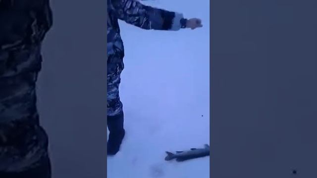 Рыбалка в Алмалах на щуку смотреть онлайн