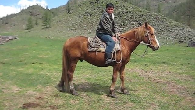 уроки верховой езды смотреть онлайн