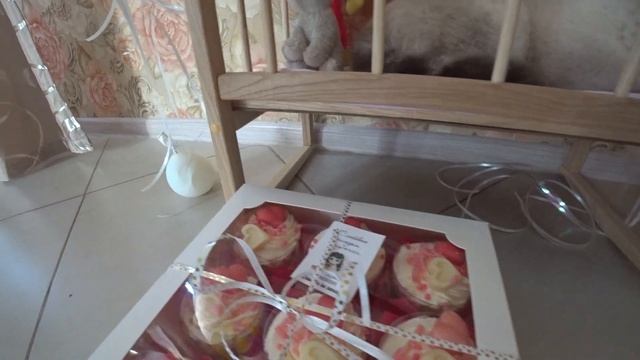 Что подарил котик Кевин Фадеев Маше на день рождения смотреть онлайн