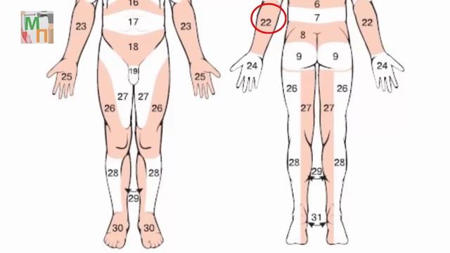 Аппликатор Ляпко Малыш Часть 4 смотреть онлайн