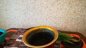 Тёщин язык/Сансевиерия/Пересадка в новый грунт/Сансевиерия зейланика