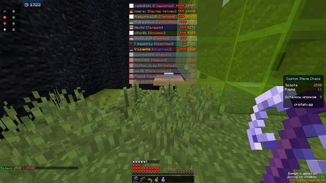 КАСТОМ СТИВ ХАОС НО ИНТЕРНЕТ НЕ ДАЛ МНЕ ДОИГРАТЬ! смотреть онлайн