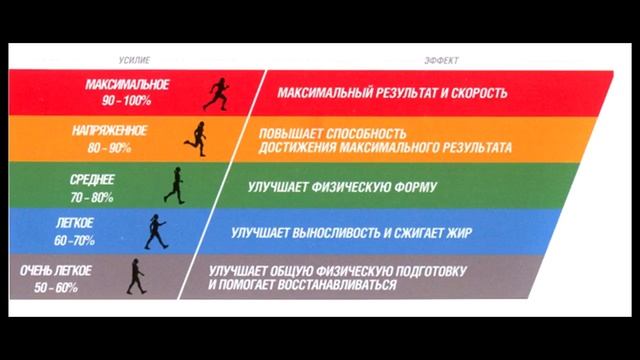 Зоны пульса кардиотренировок. Зачем мерить пульс при беге. Стадион для тех кому за... смотреть онлайн