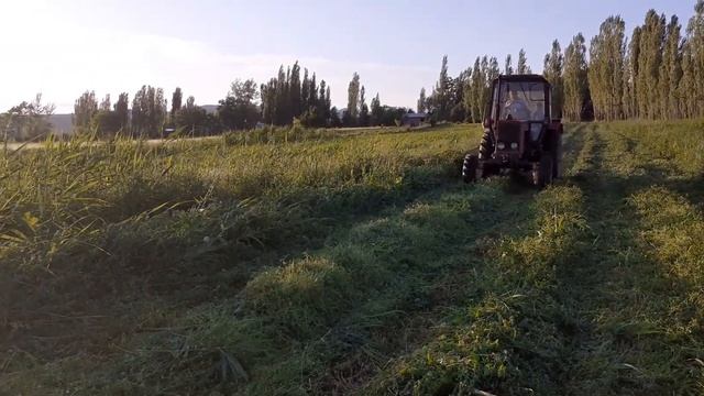 МТЗ 82 Роторный косилка Лисики (Lisicki) Беде оруу касилка смотреть онлайн