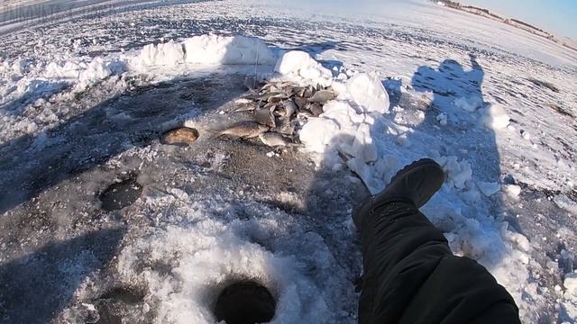 КРУПНЫЕ ЛЕЩИ ЛОМАЮТ МОРМЫШКИ\РЫБАЛКА 2021-2022\КАЗАХСТАН\КОКШЕТАУ смотреть онлайн