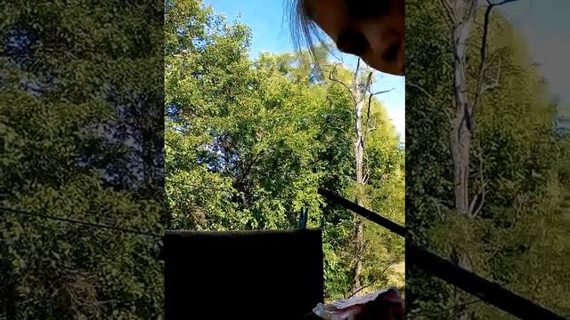 Я завтра еду в лагерь. Уррраааааааа!!!😁😎 смотреть онлайн