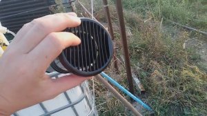 Бензиновый опрыскиватель Champion PS242