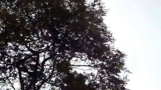 Fuertes vientos en Bogotá D.C. Colombia смотреть онлайн