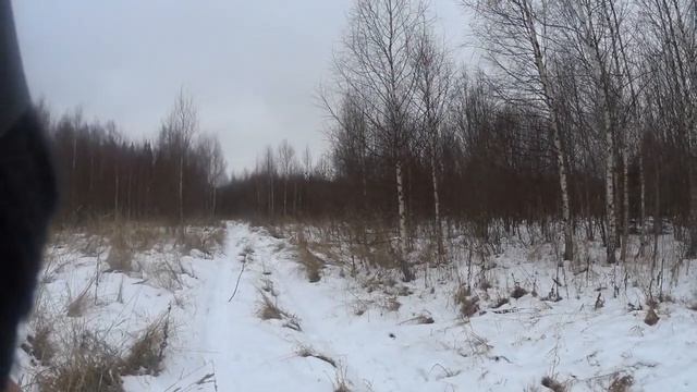 удачная охота с русскими гончими.18.12.20 смотреть онлайн