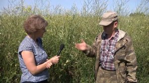 Агротехника медоносов: донник. Бирюля Н.М.
