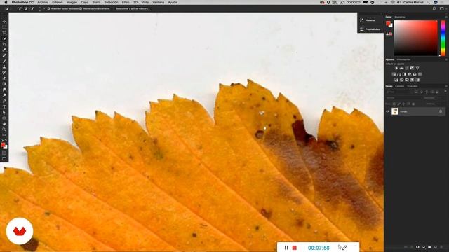 Curso gratis de Photoshop #9 Selecciones mágicas