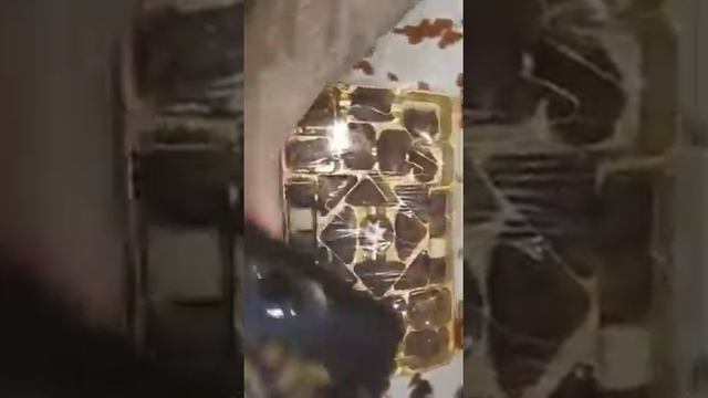 Подарок сестре на др смотреть онлайн