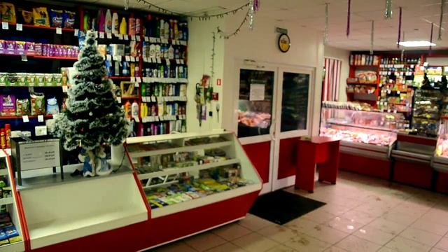 Серебряная свадьба - поздравительное видео смотреть онлайн