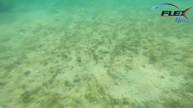 Sublue Brasil - Seabow - Explore o mar com facilidade utilizando a scooter subaquática - NOVIDADE!! смотреть онлайн