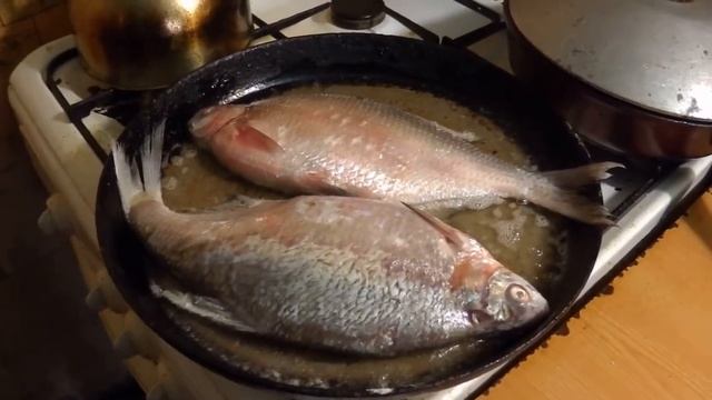 Жучок по Кубански смотреть онлайн