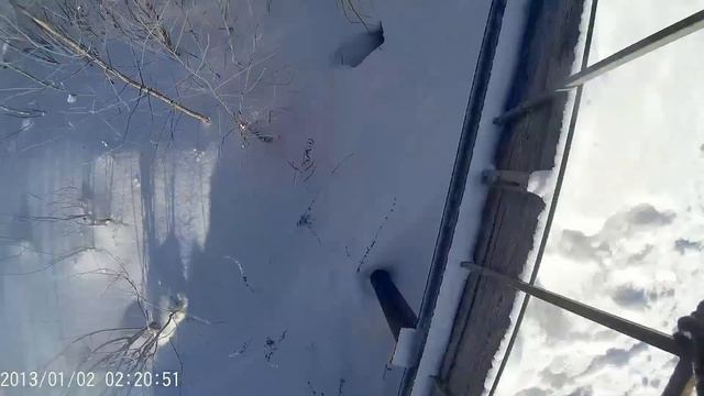 Реальный паркур!Снято на GoPro! смотреть онлайн