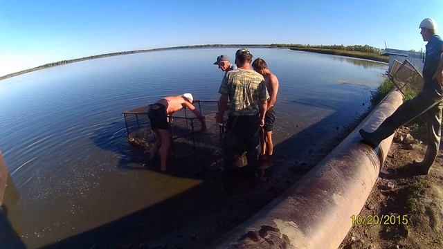 Рыбхоз в Липецкой области смотреть онлайн