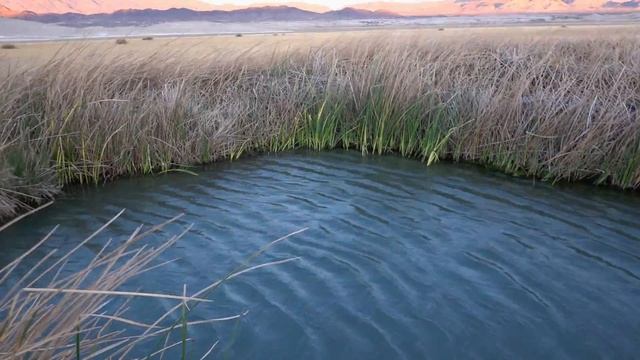 Aguas Termales Naturales En California