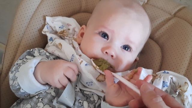 Знакомство с брокколи. Шестой день прикорма Эми смотреть онлайн