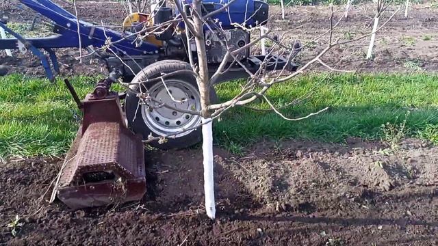 саморобна фриза содова смотреть онлайн